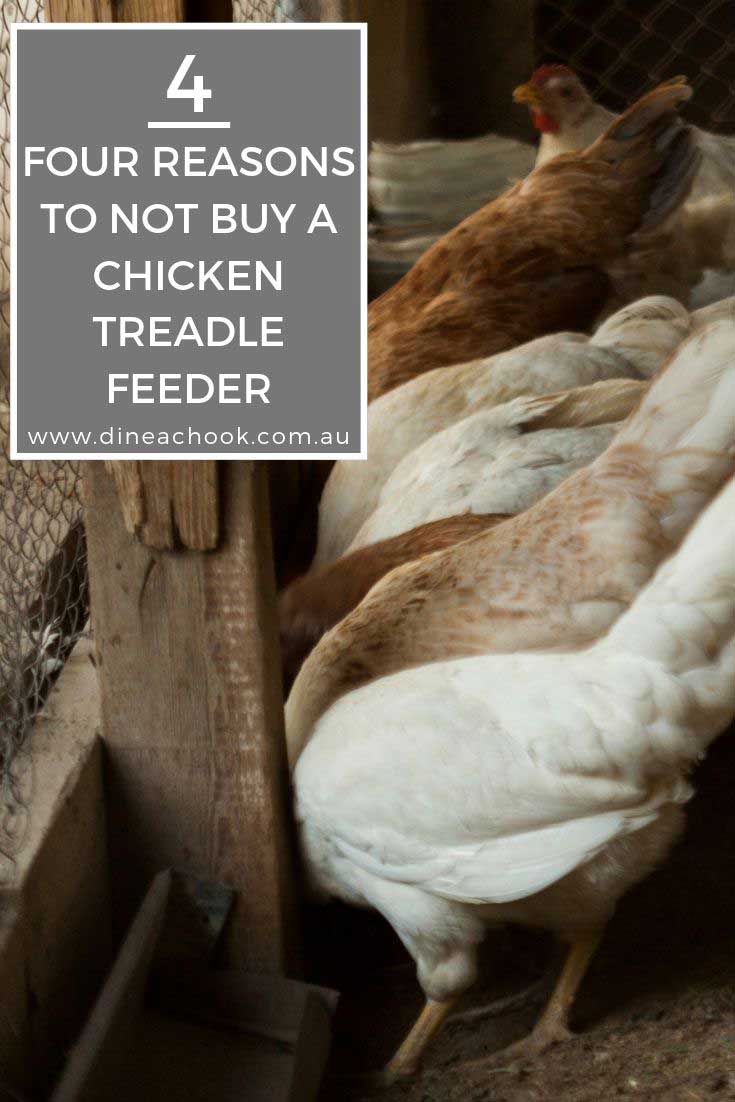 4 reasons not to buy a chicken treadle feeder