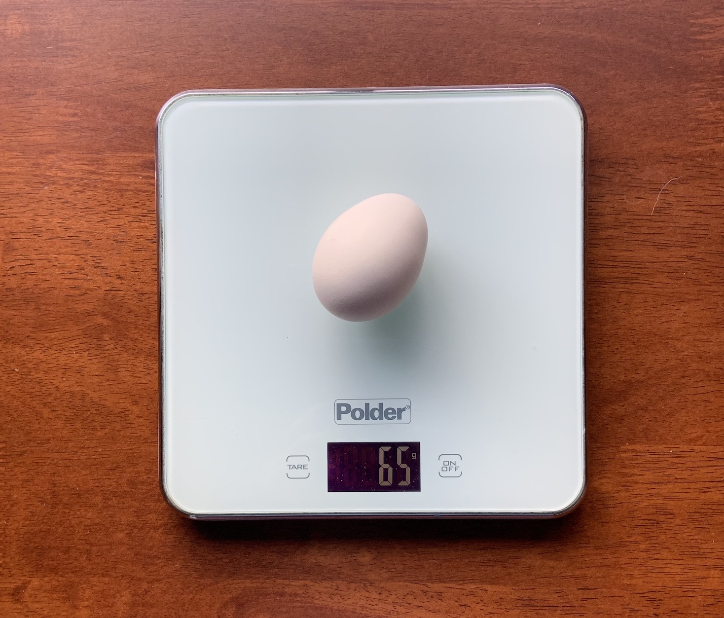 Chicken egg on kitchen scale weighs 65 grams