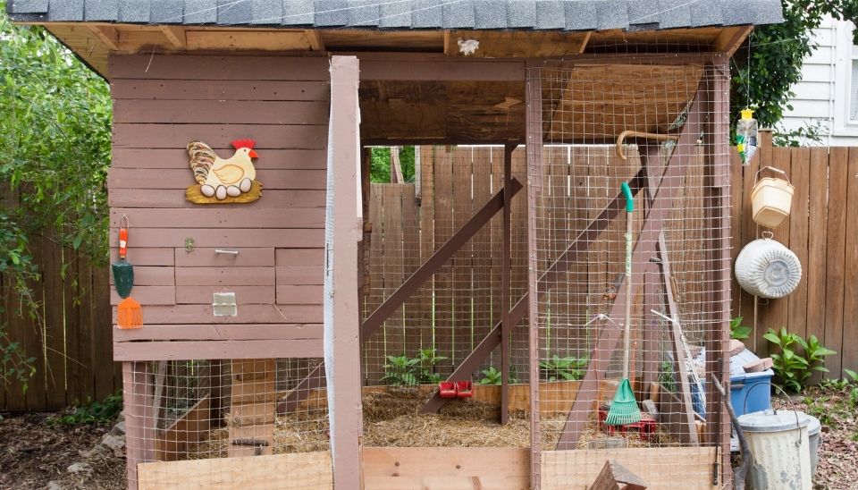 Chicken coop with roof helps keep the coop floor free of muddy puddles