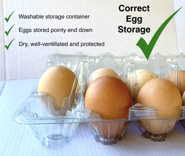 Do Eggs Need To Be Refrigerated? - The Best Way To Store Eggs