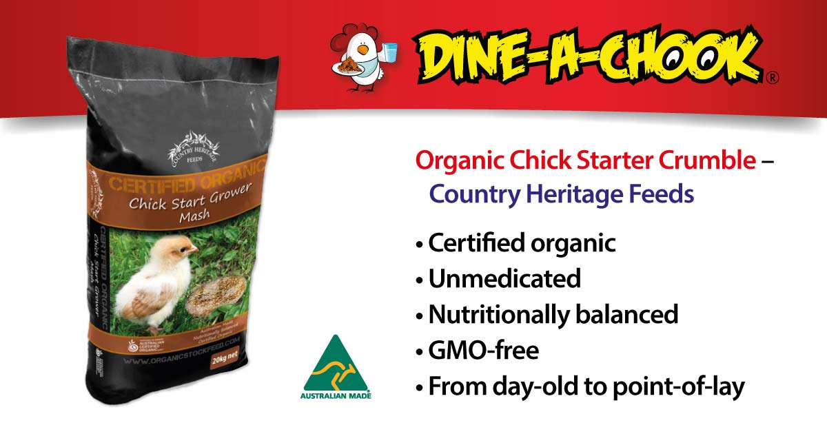 Organic Chick Starter - Unmedicated