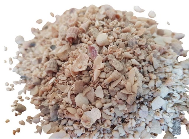 Shell Grit Large Particle Calcium