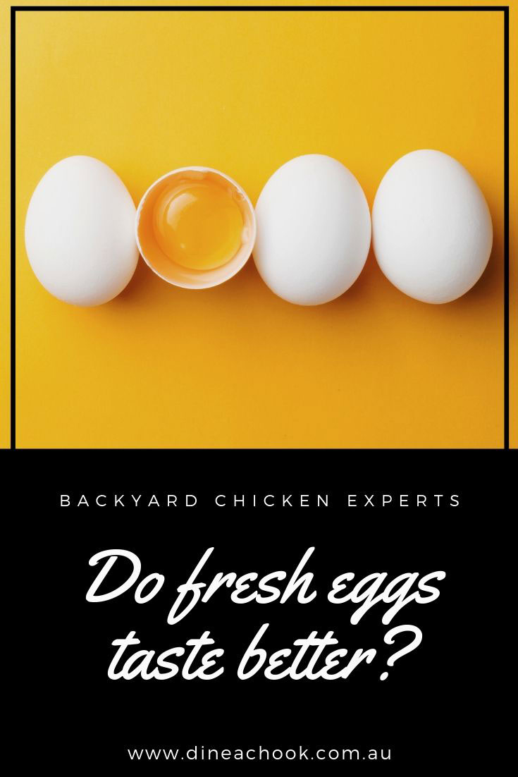 Do Fresh Eggs Taste Better