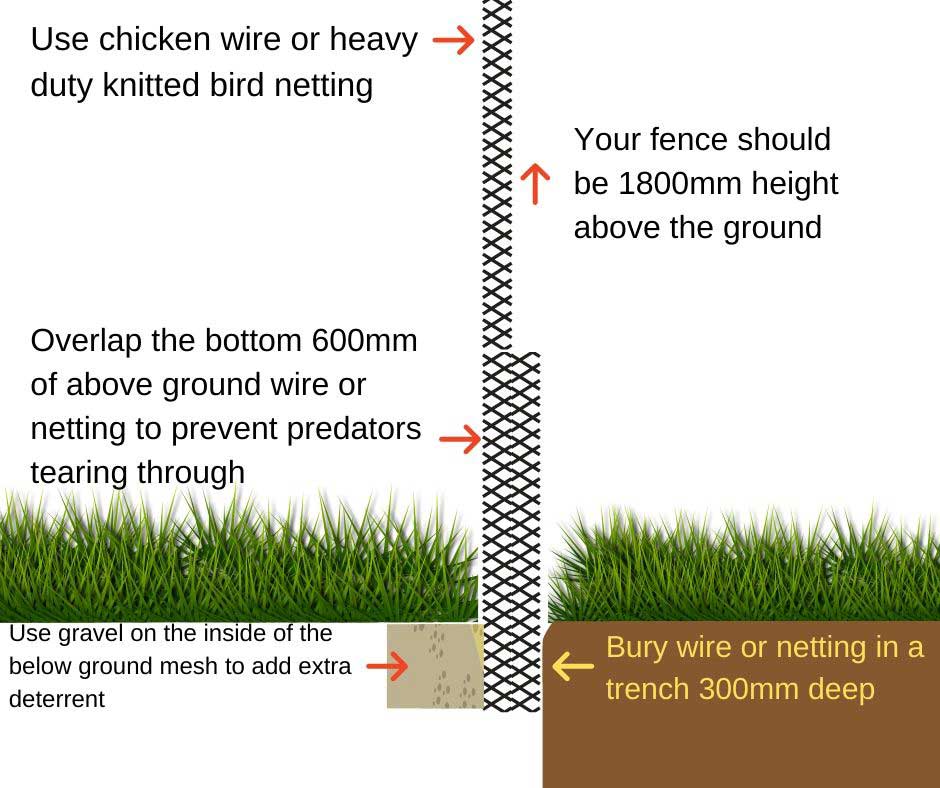 How to make a chicken run fence