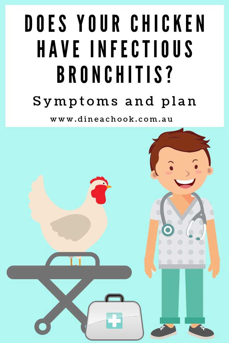 Infectious bronchitis in chickens, signs and symptoms