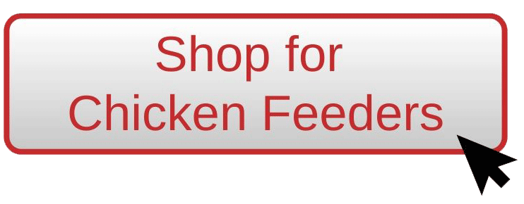 Shop for chicken feeders
