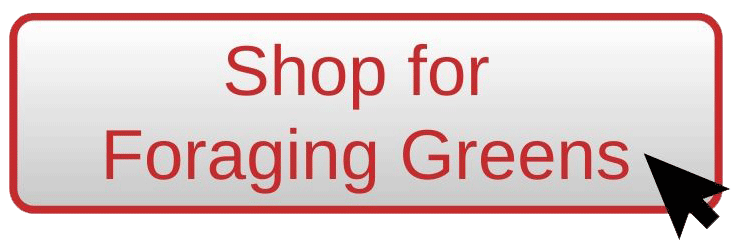 Shop for foraging greens