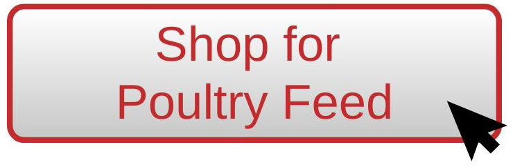 Shop for Poultry Feed