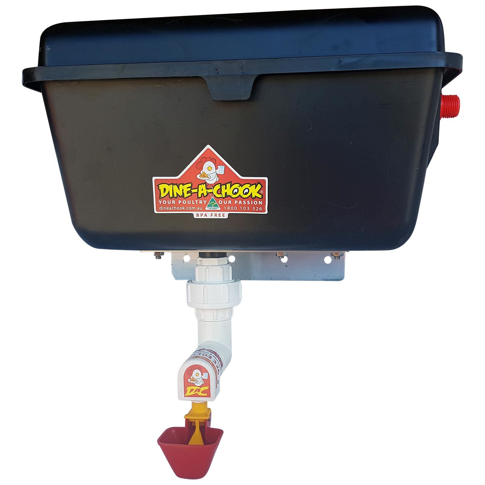 Automatic chicken waterers connected to mains water