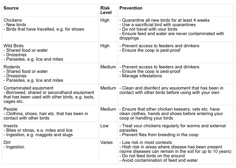 How to prevent chicken disease in backyard coop - Biosecurity